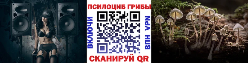 Псилоцибиновые грибы прущие грибы  Спасск-Рязанский 